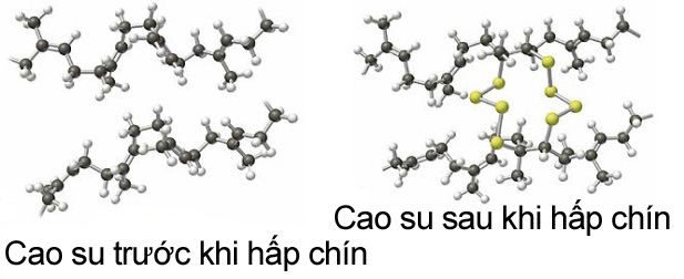 Đồ so sánh hấp chín cao su